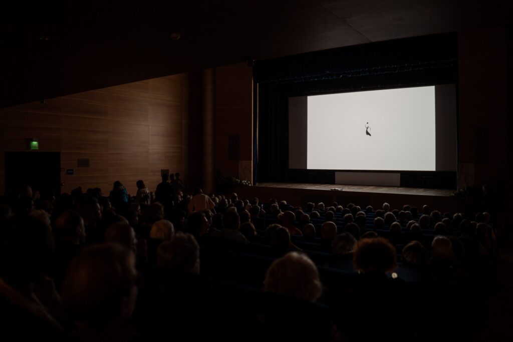 A film being shown at the Lessinia Film Festival